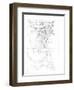 Capital Schematic I-Ethan Harper-Framed Art Print