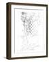 Capital Schematic II-Ethan Harper-Framed Art Print