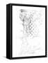 Capital Schematic II-Ethan Harper-Framed Stretched Canvas