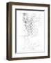 Capital Schematic II-Ethan Harper-Framed Premium Giclee Print