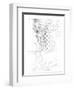 Capital Schematic II-Ethan Harper-Framed Premium Giclee Print