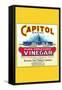 Capitol Brand Pure Apple Cider Vinegar-null-Framed Stretched Canvas