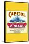 Capitol Brand Pure Apple Cider Vinegar-null-Framed Stretched Canvas