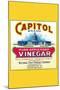 Capitol Brand Pure Apple Cider Vinegar-null-Mounted Art Print