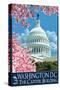 Capitol Building and Cherry Blossoms - Washington DC-Lantern Press-Stretched Canvas
