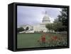 Capitol Building and Colorful Flowers, Washington DC, USA-Bill Bachmann-Framed Stretched Canvas