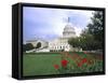 Capitol Building and Colorful Flowers, Washington DC, USA-Bill Bachmann-Framed Stretched Canvas