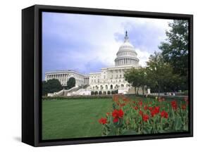 Capitol Building and Colorful Flowers, Washington DC, USA-Bill Bachmann-Framed Stretched Canvas