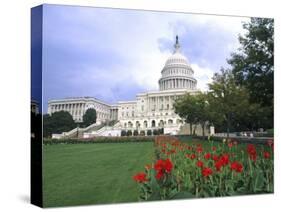 Capitol Building and Colorful Flowers, Washington DC, USA-Bill Bachmann-Stretched Canvas