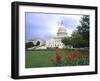 Capitol Building and Colorful Flowers, Washington DC, USA-Bill Bachmann-Framed Photographic Print