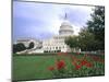 Capitol Building and Colorful Flowers, Washington DC, USA-Bill Bachmann-Mounted Photographic Print