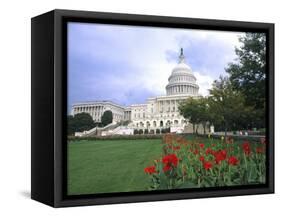 Capitol Building and Colorful Flowers, Washington DC, USA-Bill Bachmann-Framed Stretched Canvas