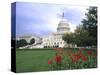 Capitol Building and Colorful Flowers, Washington DC, USA-Bill Bachmann-Stretched Canvas