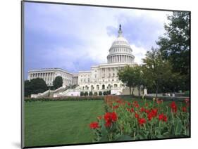 Capitol Building and Colorful Flowers, Washington DC, USA-Bill Bachmann-Mounted Photographic Print