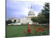 Capitol Building and Colorful Flowers, Washington DC, USA-Bill Bachmann-Stretched Canvas