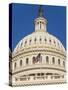Capitol Building and Flag-Rudy Sulgan-Stretched Canvas