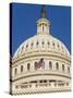 Capitol Building and Flag-Rudy Sulgan-Stretched Canvas