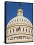 Capitol Building and Flag-Rudy Sulgan-Framed Stretched Canvas