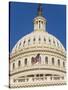 Capitol Building and Flag-Rudy Sulgan-Stretched Canvas