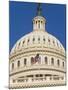 Capitol Building and Flag-Rudy Sulgan-Mounted Photographic Print