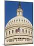 Capitol Building and Flag-Rudy Sulgan-Mounted Photographic Print