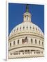 Capitol Building and Flag-Rudy Sulgan-Framed Photographic Print