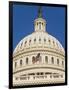 Capitol Building and Flag-Rudy Sulgan-Framed Photographic Print