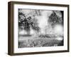 Capitol Building and Lawn after Hurricane-null-Framed Photographic Print