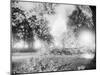 Capitol Building and Lawn after Hurricane-null-Mounted Photographic Print