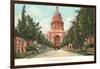 Capitol Building at Austin, Texas-null-Framed Art Print