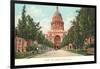 Capitol Building at Austin, Texas-null-Framed Art Print