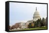 Capitol Building in Autumn, Washington DC USA-Orhan-Framed Stretched Canvas