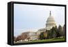 Capitol Building in Autumn, Washington DC USA-Orhan-Framed Stretched Canvas