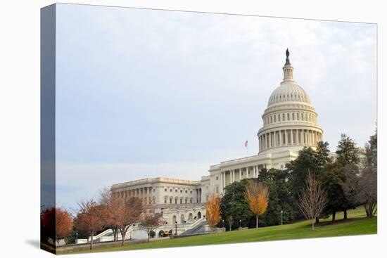Capitol Building in Autumn, Washington DC USA-Orhan-Stretched Canvas