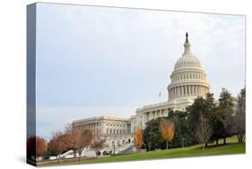 Capitol Building in Autumn, Washington DC USA-Orhan-Stretched Canvas
