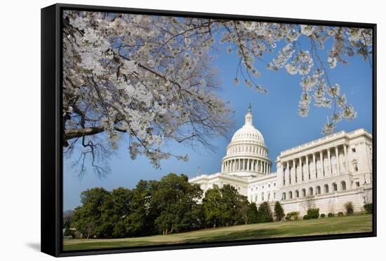 Capitol Building in Spring - Washington DC-Orhan-Framed Stretched Canvas