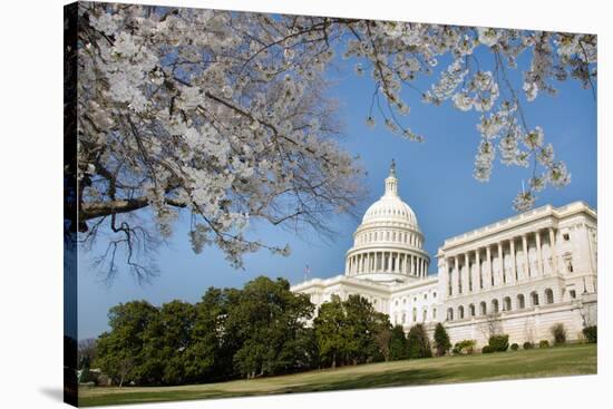 Capitol Building in Spring - Washington DC-Orhan-Stretched Canvas