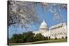 Capitol Building in Spring - Washington DC-Orhan-Stretched Canvas