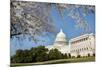 Capitol Building in Spring - Washington DC-Orhan-Mounted Photographic Print