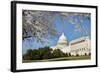 Capitol Building in Spring - Washington DC-Orhan-Framed Photographic Print