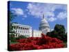 Capitol Building, Washington, D.C., USA-null-Stretched Canvas