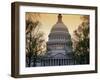 Capitol Building, Washington, D.C., USA-null-Framed Premium Photographic Print