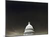 Capitol Building, Washington, D.C., USA-null-Mounted Premium Photographic Print