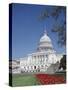 Capitol Building, Washington, D.C., USA-null-Stretched Canvas