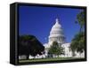 Capitol Building, Washington, D.C., USA-null-Framed Stretched Canvas