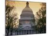 Capitol Building, Washington, D.C., USA-null-Mounted Photographic Print