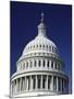 Capitol Building, Washington, D.C., USA-null-Mounted Photographic Print