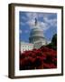 Capitol Building, Washington, D.C., USA-null-Framed Photographic Print