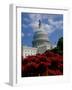 Capitol Building, Washington, D.C., USA-null-Framed Photographic Print