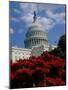 Capitol Building, Washington, D.C., USA-null-Mounted Photographic Print